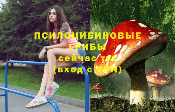 прущий лед Магас